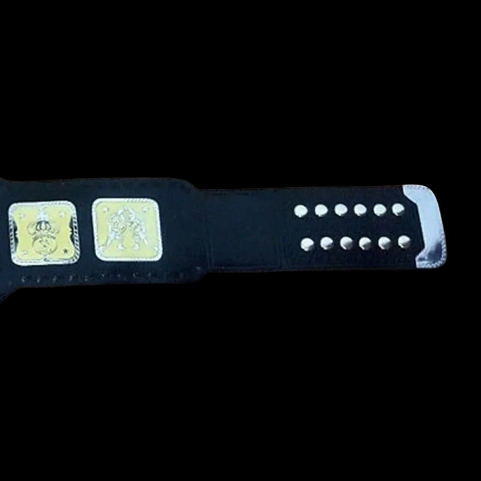AWA World Tag Team Wrestling Championship Belt