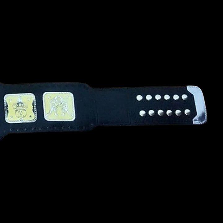 AWA World Tag Team Wrestling Championship Belt