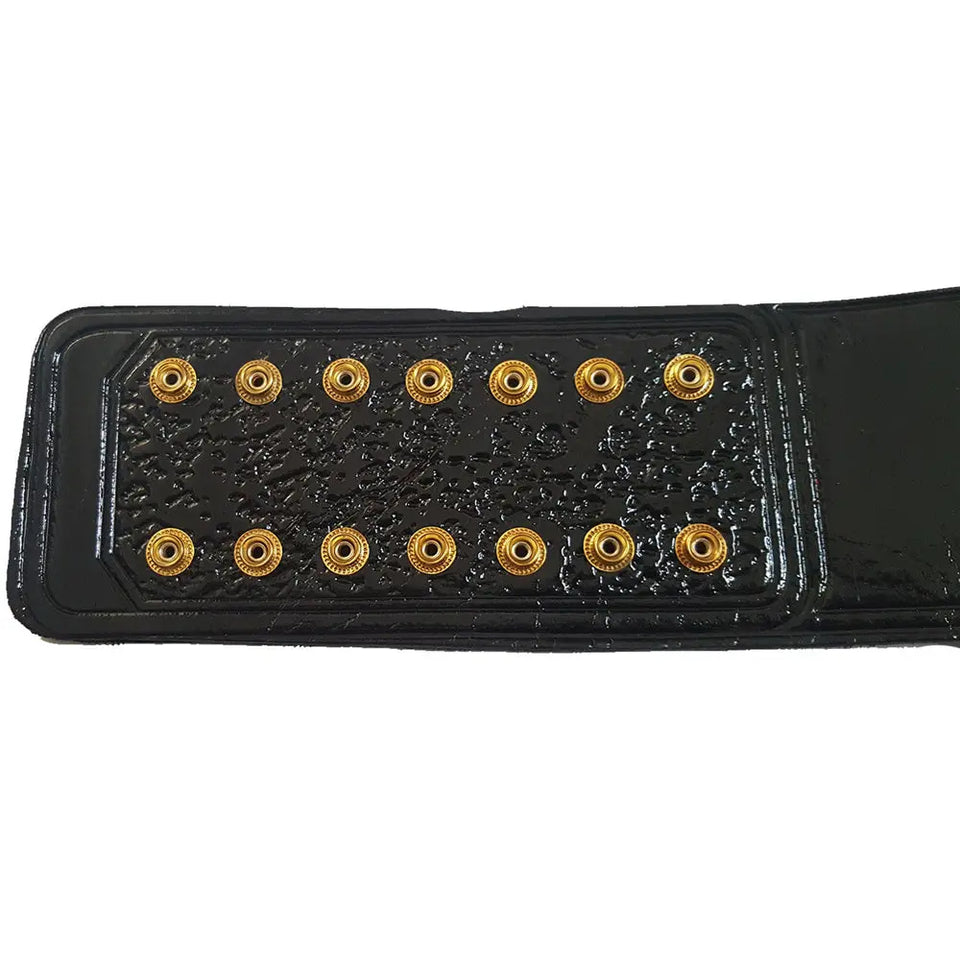 AWA World Tag Team Wrestling Championship Belt