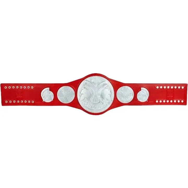 Raw Tag Team Commemorative Championship Title
