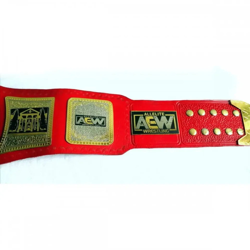 AEW TNT Wrestling Championship Belt - Official Replica