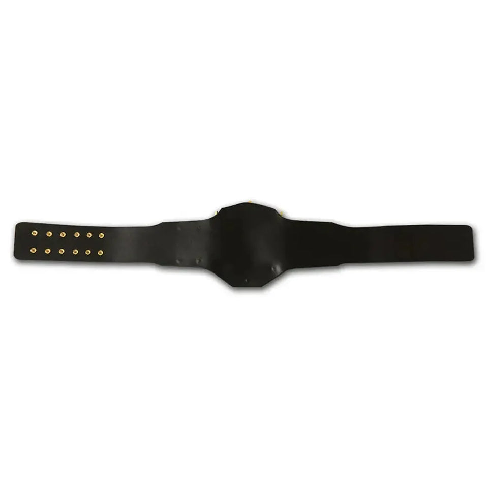 AWA Heavyweight Championship Belt by Champions Forge Belt