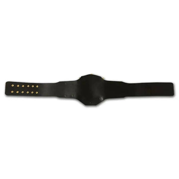 AWA Heavyweight Championship Belt by Champions Forge Belt